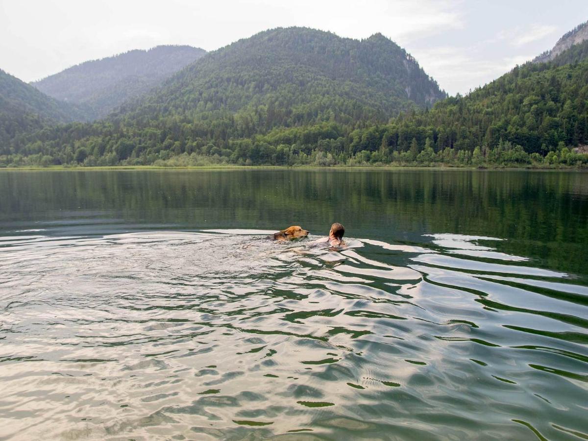 Haus Wildbach Hotel Райт им Винкл Екстериор снимка